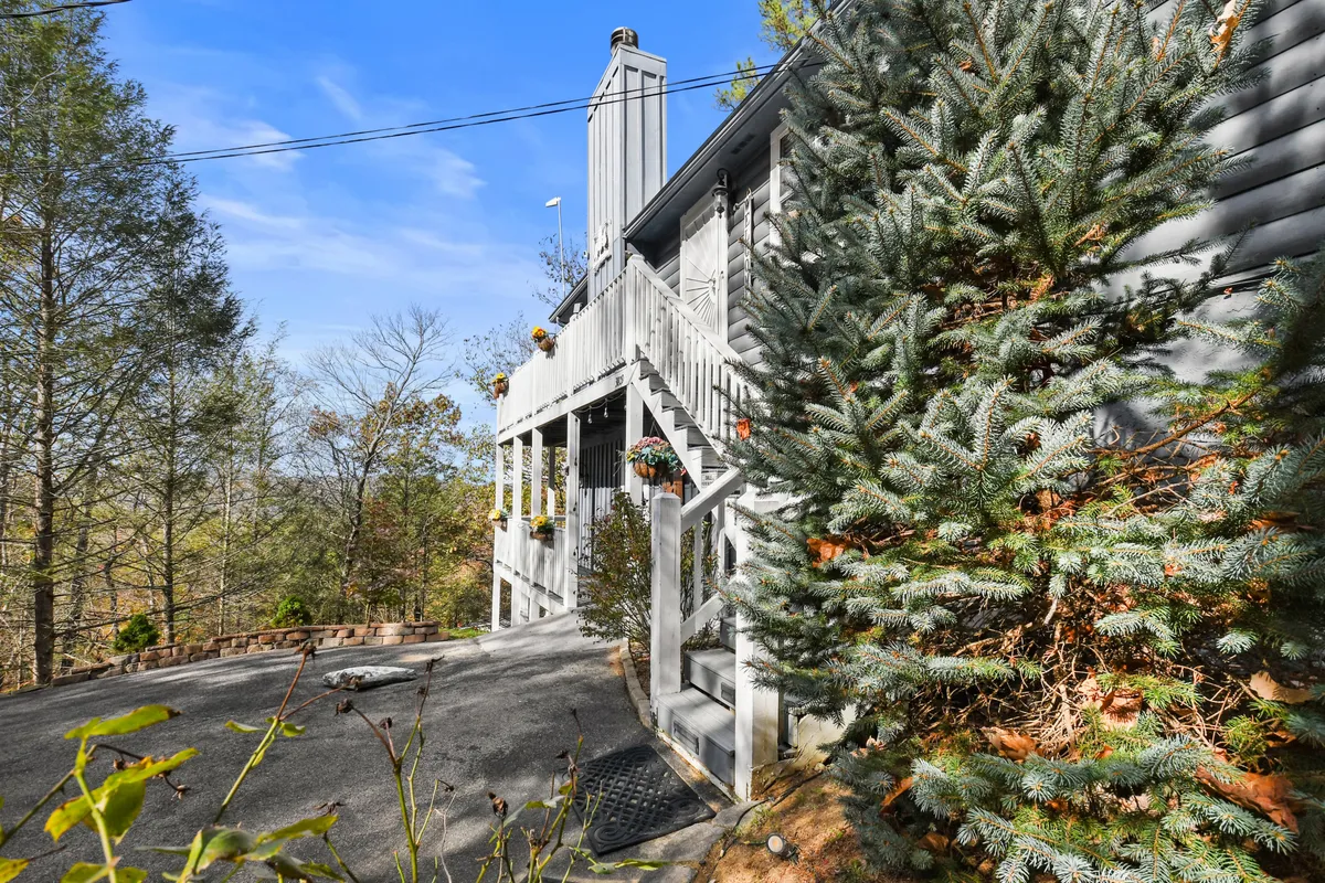 This exterior image shows a staircase leading up to the cabin entrance, flanked by decorative flower pots and an evergreen tree. The porch area is visible and surrounded by natural greenery, evoking a sense of seclusion and connection to the surrounding woods.